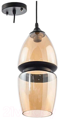 Потолочный светильник Aitin-Pro НСБ 13175/1 (черный) - фото