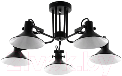 Люстра Aitin-Pro НПБ C1013/5 (черный/белый) - фото