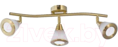 Люстра Aitin-Pro НПБ 640SA/3 (латунь/белый) - фото