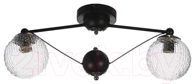 Потолочный светильник Aitin-Pro НПБ C902/2 (черный/хром) - фото