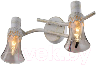 Спот Aitin-Pro НПБ 16754/2 - фото