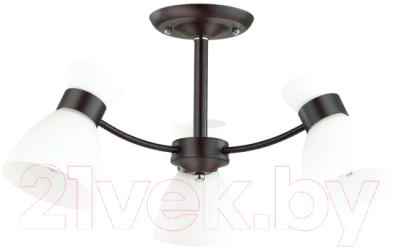 Люстра Lumion Wilma 4534/3C - фото