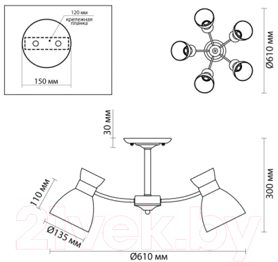 Люстра Lumion Wilma 4534/5C