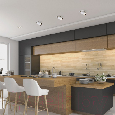 Точечный светильник Elektrostandard 9917 LED 10W 4200K