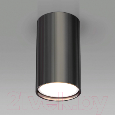 Точечный светильник Elektrostandard 1081 GU10 - фото