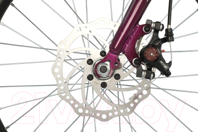 Детский велосипед Novatrack Alice 20SH6D.ALICE.PR21