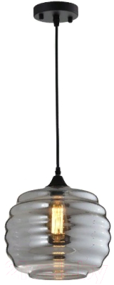 Потолочный светильник Aployt Morgan APL.605.16.01 - фото