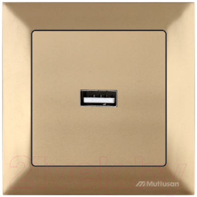 Розетка Mutlusan Daria 2120 448 0180 - фото