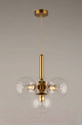 Люстра Aployt Lora APL.728.06.04