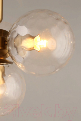 Люстра Aployt Lora APL.728.06.04