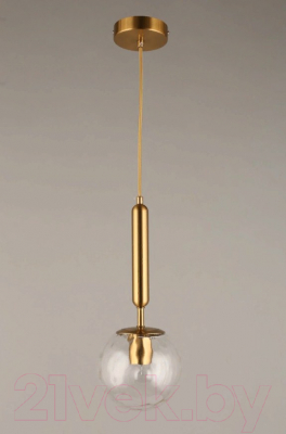 Потолочный светильник Aployt Lora APL.728.06.01