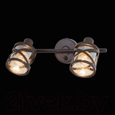 Спот Citilux Гессен CL536625