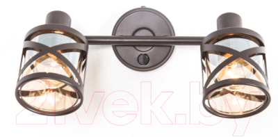 Спот Citilux Гессен CL536625