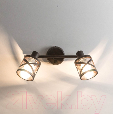 Спот Citilux Гессен CL536625