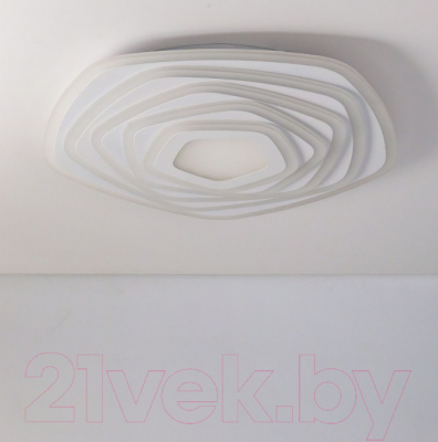 Потолочный светильник Citilux CL737A55E