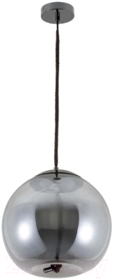 Потолочный светильник Arte Lamp Cody A7768SP-1BC - фото