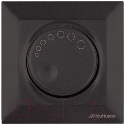 Диммер Mutlusan Daria 2120 440 0284 - фото