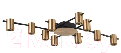 Люстра ST Luce Veroli SL1207.402.10 - фото