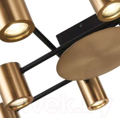 Люстра ST Luce Veroli SL1207.402.10