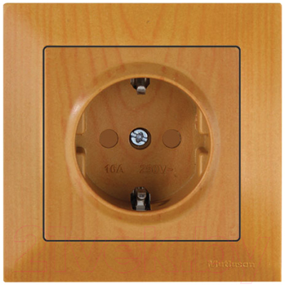 Розетка Mutlusan Daria 2120 605 0258 - фото