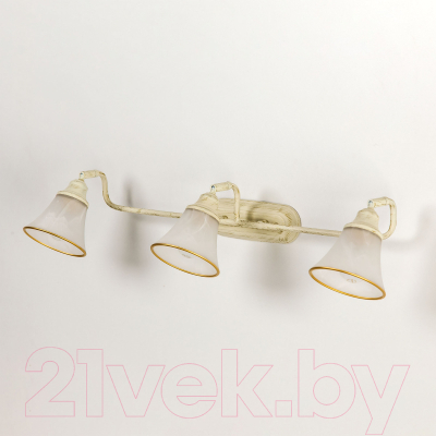 Светильник Citilux Патина CL511534