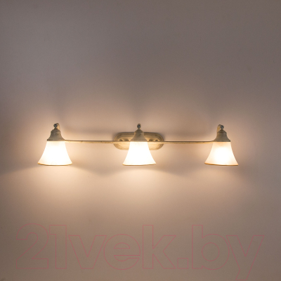 Светильник Citilux Патина CL511534