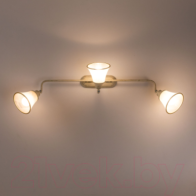 Светильник Citilux Патина CL511534