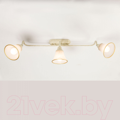 Светильник Citilux Патина CL511534