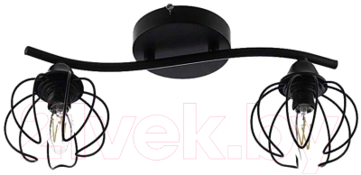 Потолочный светильник Aitin-Pro НПБ A722/2 (черный/черный) - фото