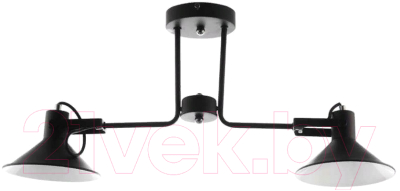 Потолочный светильник Aitin-Pro НПБ C1013/2 (черный/белый) - фото