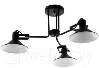 Люстра Aitin-Pro НПБ C1013/3 (черный/белый) - фото