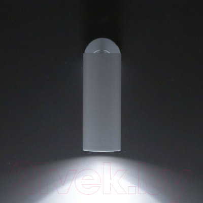 Точечный светильник Citilux Тубус CL01B120N