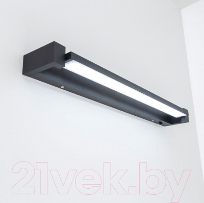 Подсветка для картин и зеркал Citilux Визор CL708261N