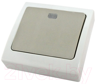 Выключатель TDM Вуокса SQ1803-0105 - фото