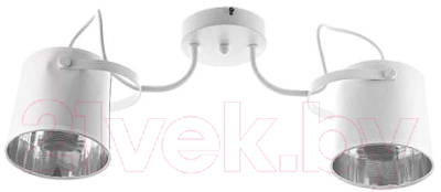 Потолочный светильник Aitin-Pro НПБ K065/2 (белый) - фото