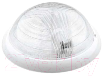 Светильник ЖКХ Borsan BR-00203-000 - фото