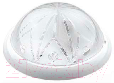 Светильник ЖКХ Borsan BR-00203-020 - фото