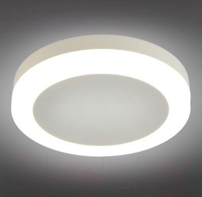 Потолочный светильник Omnilux Valles OML-102109-06