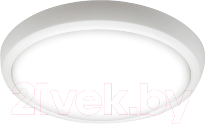 Светильник ЖКХ JAZZway 1024602A