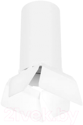 Потолочный светильник Lightstar Rullo R6486486 - фото