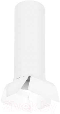 Потолочный светильник Lightstar Rullo R6496486 - фото