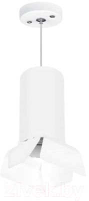 Потолочный светильник Lightstar Rullo RP6486486 - фото