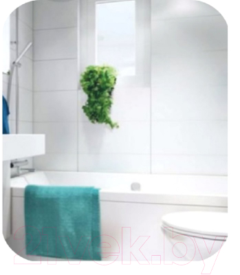 Зеркало Tivoli Самба 460967