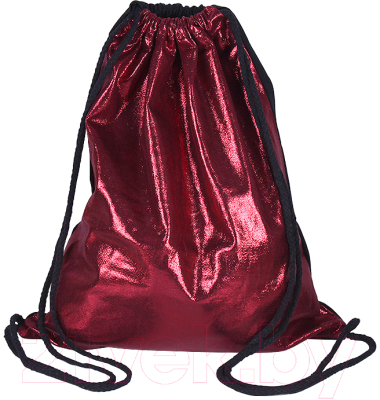 Мешок для обуви Darvish DV-12645 - фото