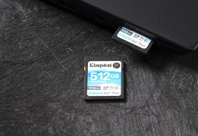 Карта памяти Kingston Canvas Go Plus SDXC (Class10) 64Gb (SDG3/64GB)