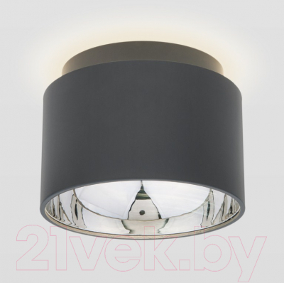 Точечный светильник Elektrostandard 1069 GX53 GR - фото