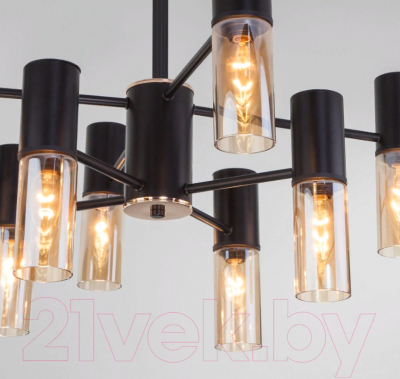 Люстра Евросвет 70125/8