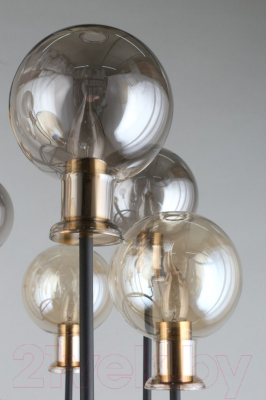 Люстра Aployt Rozet APL.902.03.11