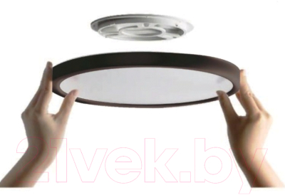 Потолочный светильник Ultra NR-12W-2800K Black