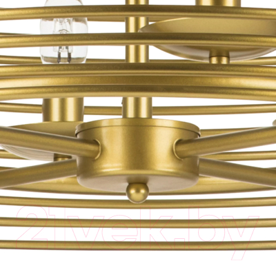 Люстра Lightstar Zeta 728063 (MD20105-6A)